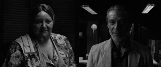 A ARTE DE MORRER OU MARTA DÍPTERO BRAQUÍCERO